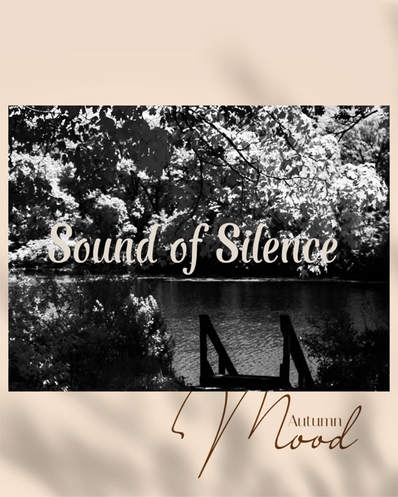 SONIDO DE SILENCIO 