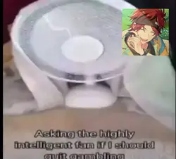 dami un grr