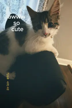awww so cute 
