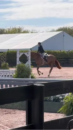 slow mo🌺| FAKE AI