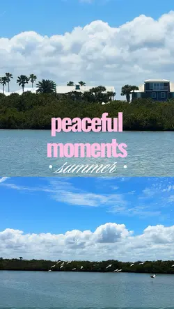 Summer vibes