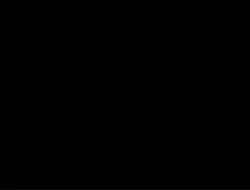 End credits to some