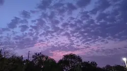 Cosmic Purple Drift