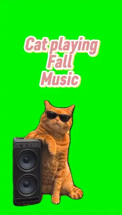 Cat playing music