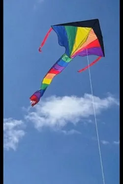 High on Life
