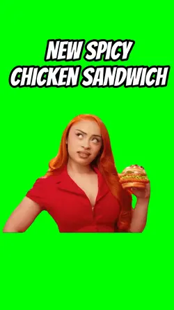 New spicy sandwich 
