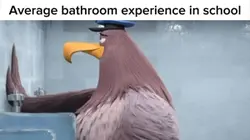 Bathroom experienc