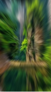 Yeni şablon 