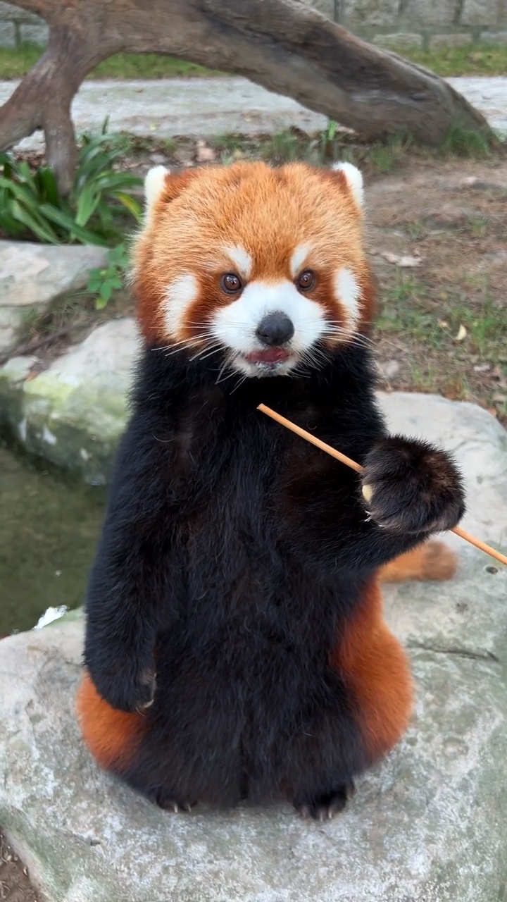 Zoo