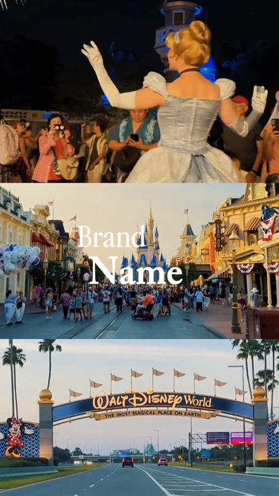 disneyland trip