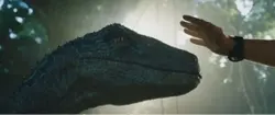 Dinosaurs