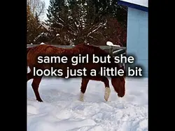 summer and winter co