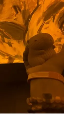 Squishy