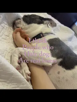 I love dogs