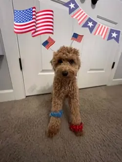 1st 4th