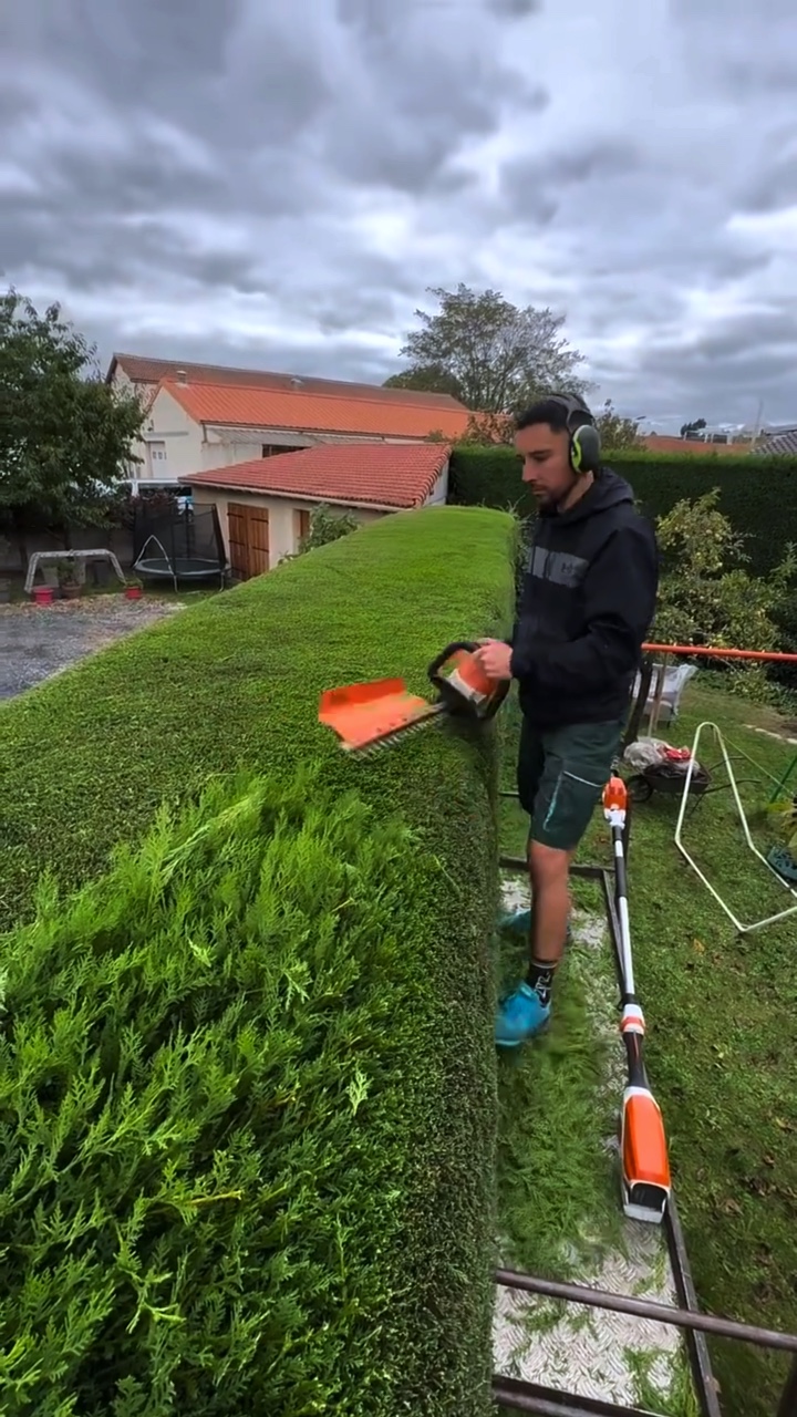 Berkebun