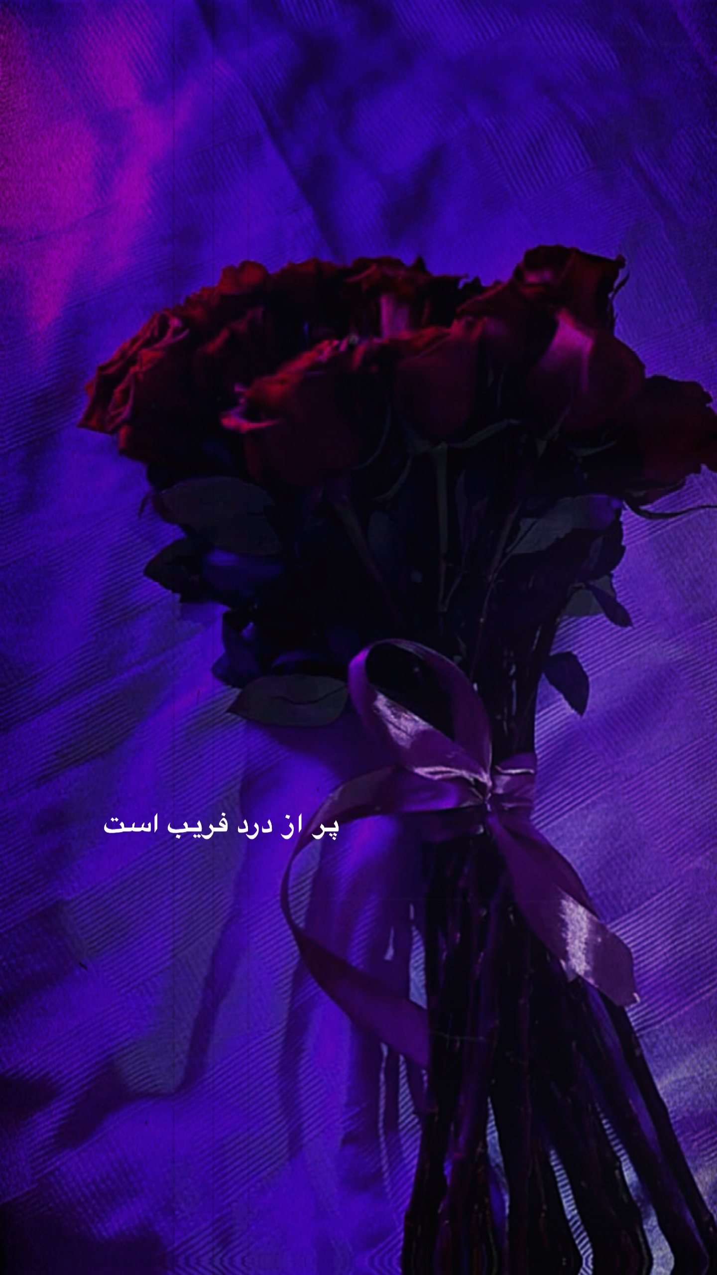 Asal💗