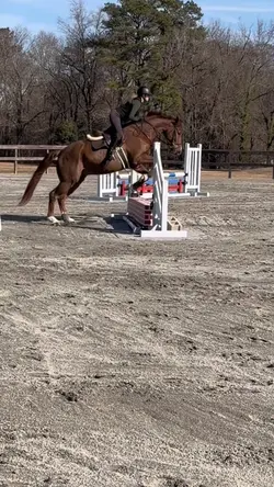 slow mo💐| FAKE AI