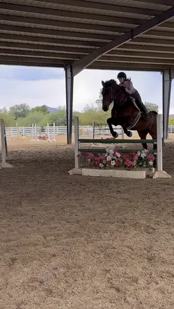 CHRISTMAS AUDIO🎅 AI‼️