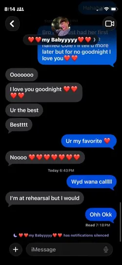 Screen shot texts