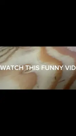 Airport troubles 😂