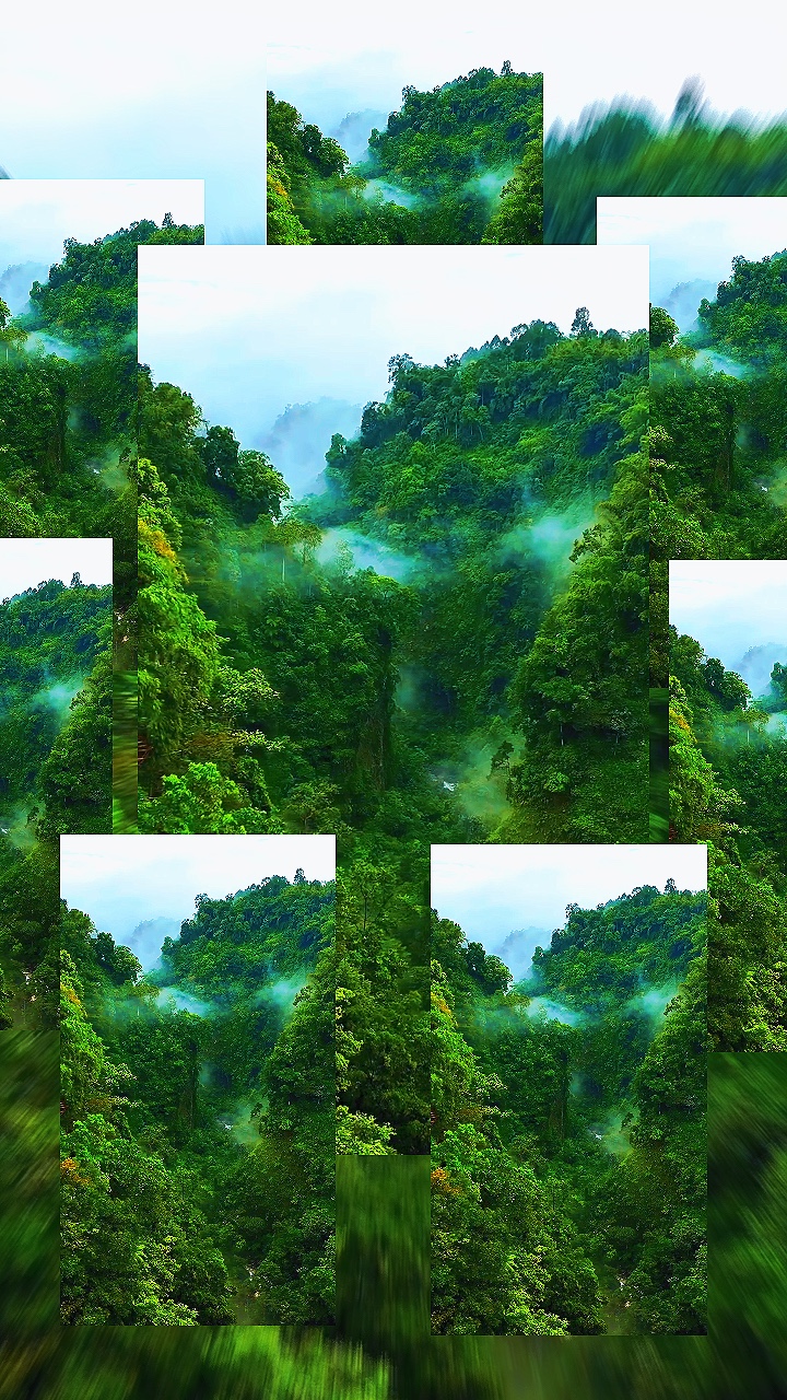 #New #template #song