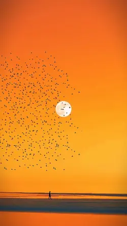 8 clip or photo 💚