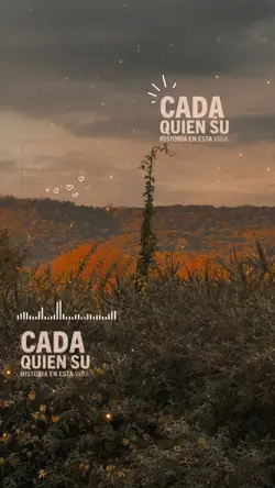 Música 🎵 ✨❤️