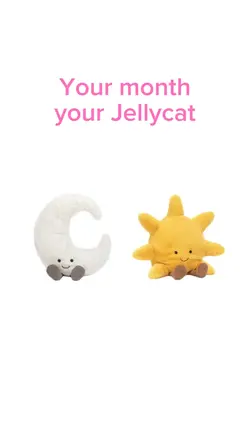 Your Jellycat! 