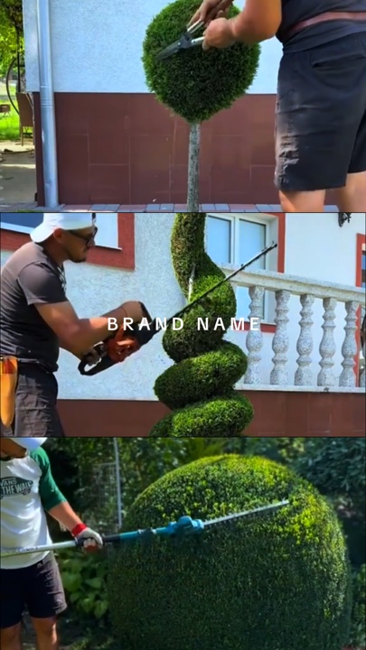 Jardinería