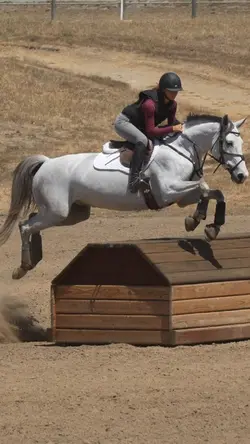 slomo ‼️⚠️FAKE⚠️‼️