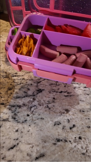 Pack Lunch 