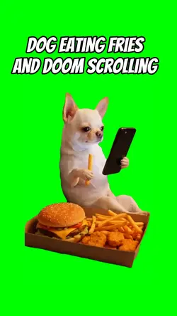 Dog eating fries