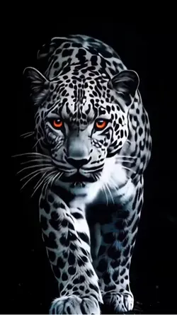 Wallpaper 