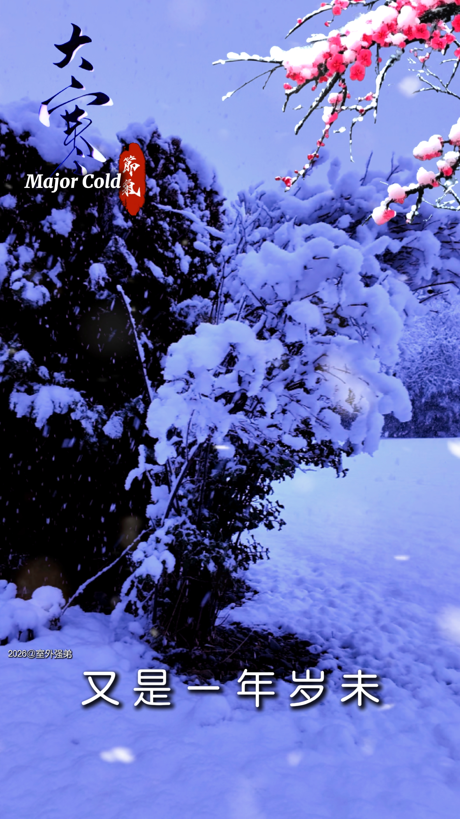 Major Cold 今日大寒