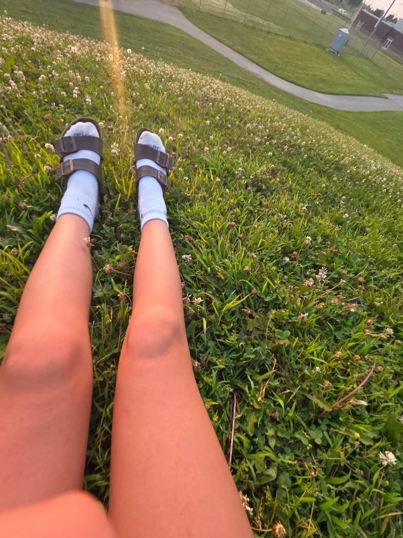 A natureza é linda 