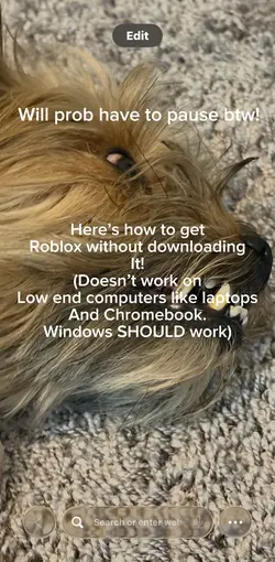 Roblox Website!