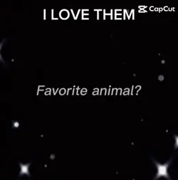 Fav animals