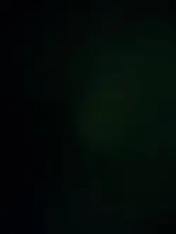 OC