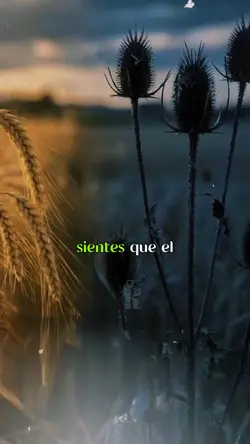 ✍️TRIGO🌾CiZAÑA📕✨