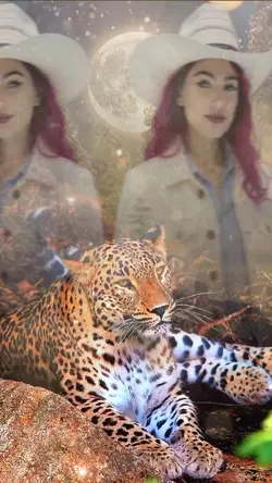 Leopardo 🐆 jaguar 🐆 