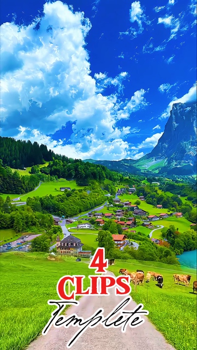 4 vidéo ou photo 