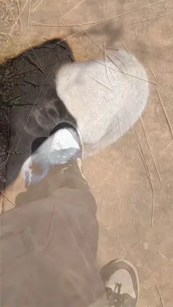 Zoom. Slow mode blur