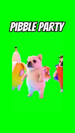 PIBBLE PARTY