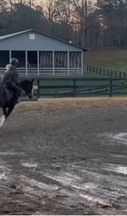 guinness 😻😻 -L