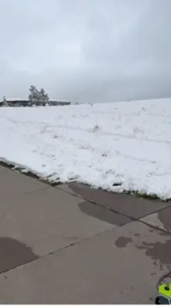 Snow board