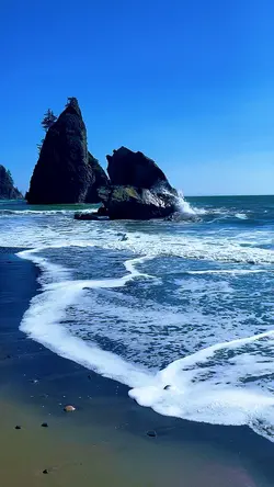 4 videos photos