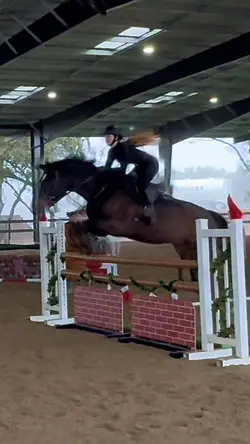 slow mo dm the eq lo