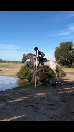 Holy horse. 😻😻