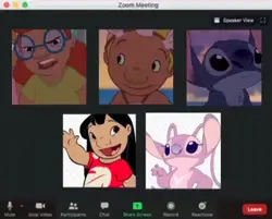 video call